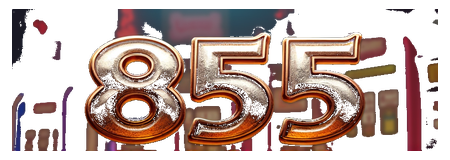 tribun 855 logo